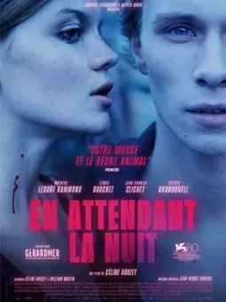 En attendant la nuit